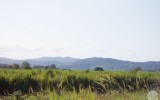 IMG_5207