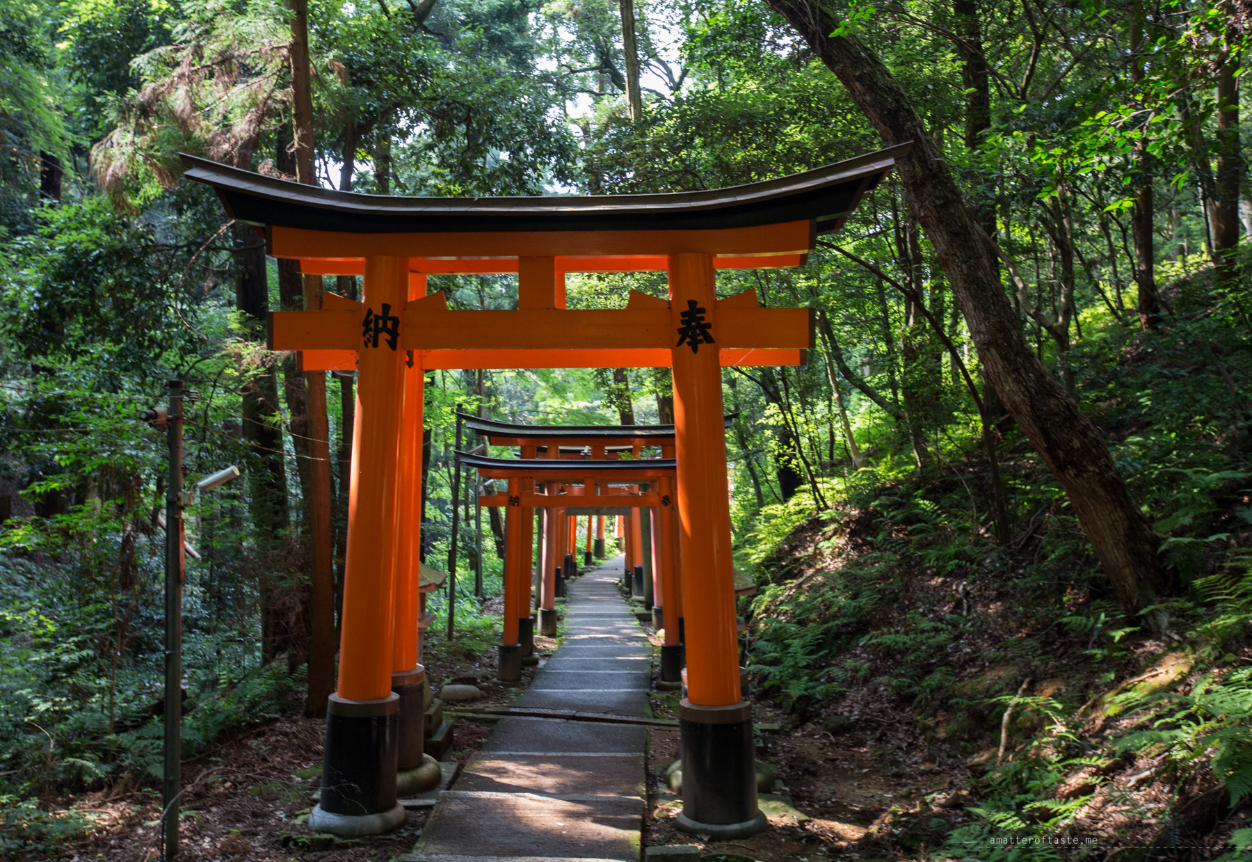 Fushimi Inari Shrine Kyoto red torii gates a matter of taste
